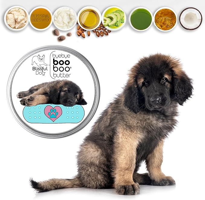 The Blissful Dog Leonberger Boo Boo Butter, 4-Ounce