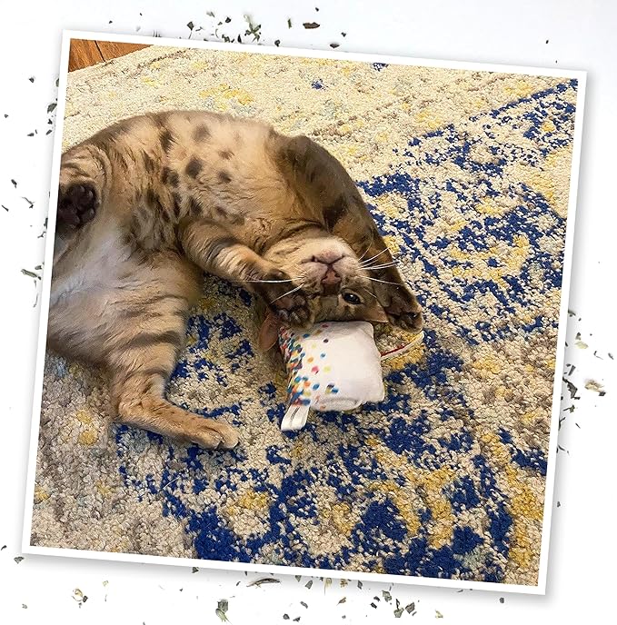 Meowijuana Birthjays Bundle | Birthjays Catnip Joints and Get Lit Cake Refillable Toy | Hand Harvested and Rolled Dried High Potency Catnip | Grown in North America