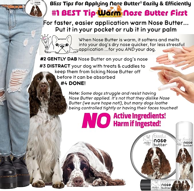 The Blissful Dog Springer Spaniel Nose Butter for Dry, Cracked Skin, Lick-Safe Dog Nose Balm with Moisturizing Shea Butter, Almond, Olive, and Essential Oils, Pet Supplies, Uncented, 0.15 oz.