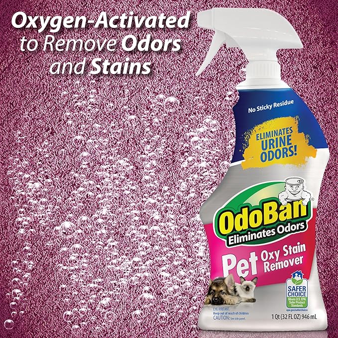 OdoBan Pet Solutions Oxy Stain Remover, Pet Stain Eliminator, Made in the USA, 6-Pack, 32 Ounce Spray Each